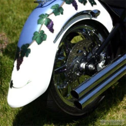 Baron Rear Lowering Kit - Road Star & Warrior -Givi Store BA752000 02